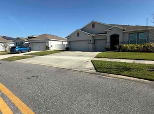 fernanda n.'s lawn care services service result