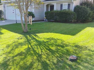 Anthony F.'s grass maintenance service result
