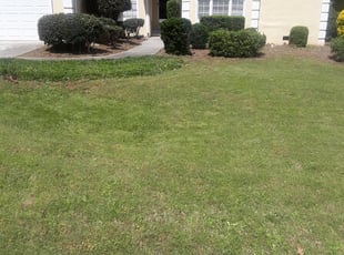 Jennifer C.'s Bush Trimming service result