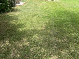 Megan R.'s lawn care service result