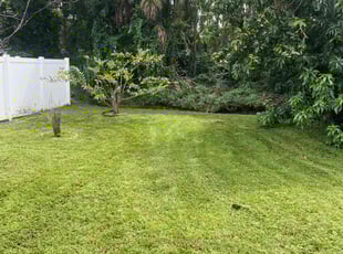 Matthew B.'s lawn maintenance service result