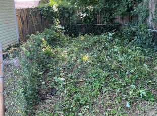 Jeremy W.'s Bush Trimming service result