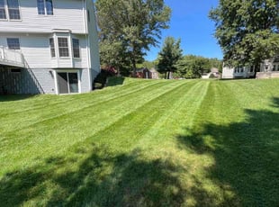 Nickolas F.'s lawn maintenance service result