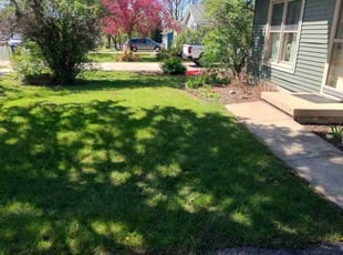 Parthenia P.'s landscape maintenance service result