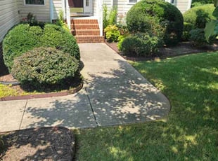 Dan M.'s grass maintenance service result