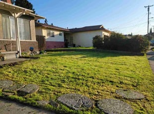Veronica K.'s lawn maintenance service result