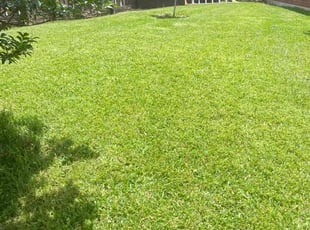 Barbara O.'s lawn care services service result