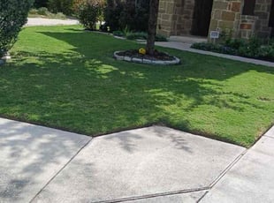 Donya G.'s lawn care services service result