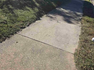 Fred P.'s grass maintenance service result