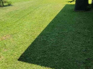 Adam G.'s lawn maintenance service result