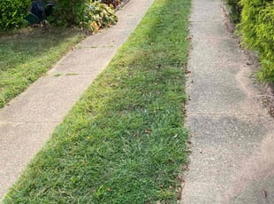 Shannon S.'s lawn care services service result