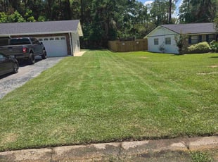 Antonette L.'s grass maintenance service result