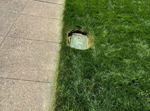Alicia H.'s grass cutting service result