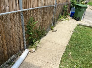 Brittany R.'s Bush Trimming service result