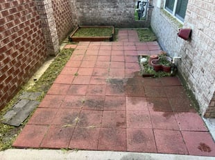Phillip H.'s turf maintenance service result