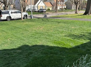 Theresa G.'s lawn service service result