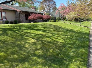 Megan B.'s lawn maintenance service result