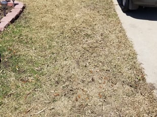 James M.'s Leaf Removal service result