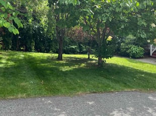 Endria C.'s grass cutting service result