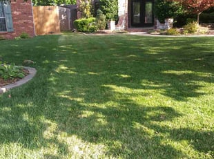 John B.'s grass cutting service result