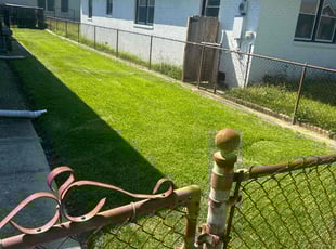 Alysa B.'s grass maintenance service result