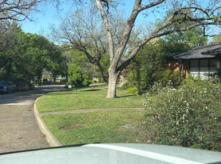 Michelle R.'s turf maintenance service result