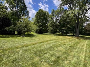 Albert R.'s lawn care service result