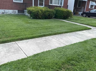 Randall B.'s lawn care service result