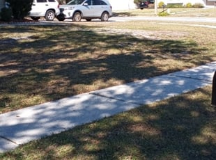 Lorri S.'s Leaf Removal service result