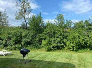 David E.'s turf care service result