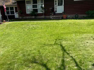 Stephen T.'s lawn care service result
