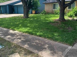 Inmer B.'s lawn service service result