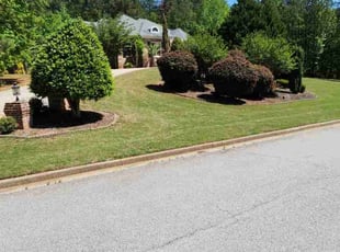 Jack S.'s grass maintenance service result