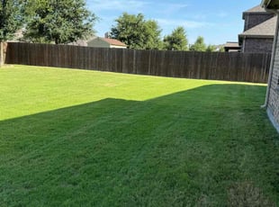 Sharon A.'s turf care service result