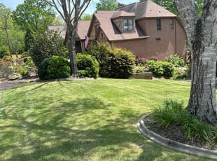 Steve B.'s yard care service result