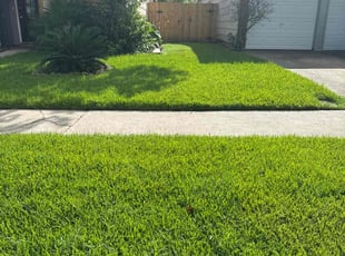 Amenda W.'s lawn care service result