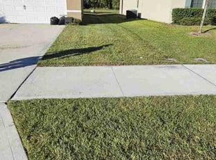 Leeza D.'s turf maintenance service result