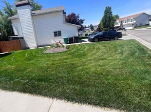 Jessica C.'s lawn care service result