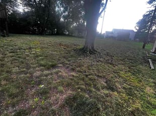 Jeffrey H.'s lawn service service result
