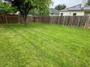 Sara R.'s lawn service service result
