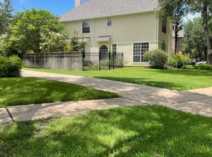 San S.'s grass cutting service result