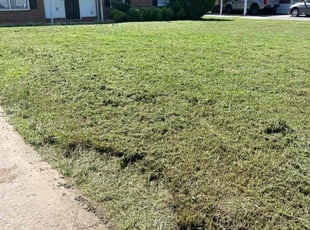 Cristina Y.'s lawn maintenance service result
