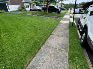 Erica E.'s Bag Clippings service result