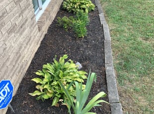 Jodie K.'s Flower Bed Weeding service result