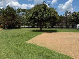 Kasandra G.'s turf care service result