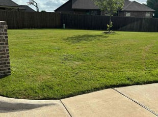 Loribeth M.'s lawn service service result