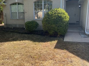 Franklin P.'s Bush Trimming service result