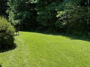 Amanda F.'s lawn service service result