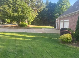 Brandon D.'s turf maintenance service result