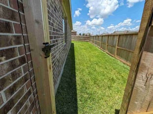 David R.'s turf care service result